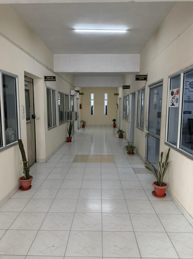 SGVU Student Life Activity photo 2